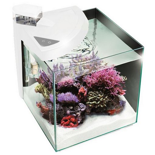 Immagine di NEWA MORE 50R  Bianco