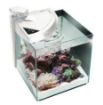 Immagine di NEWAMORE NMO30RW BIANCO