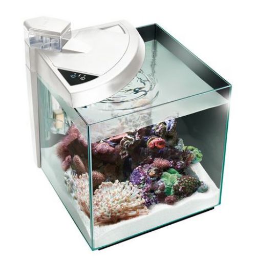 Immagine di NEWAMORE NMO30RW BIANCO