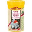 Immagine di sera Goldy Color Spirulina Nature 250 ml