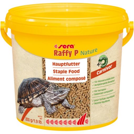 Immagine di sera raffy P Nature10 l