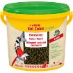 Immagine di sera KOI Color Nature Large 3.800 ml