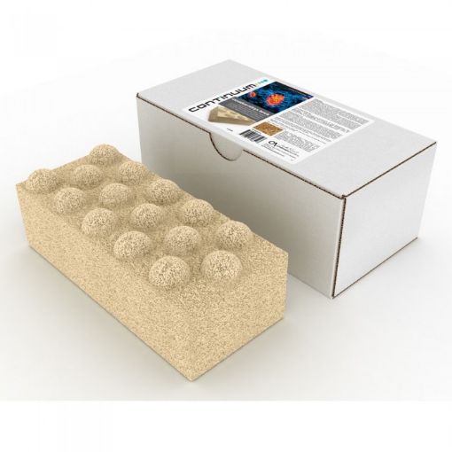 Immagine di CONTINUUM EXXODUS NITRYX BRICK