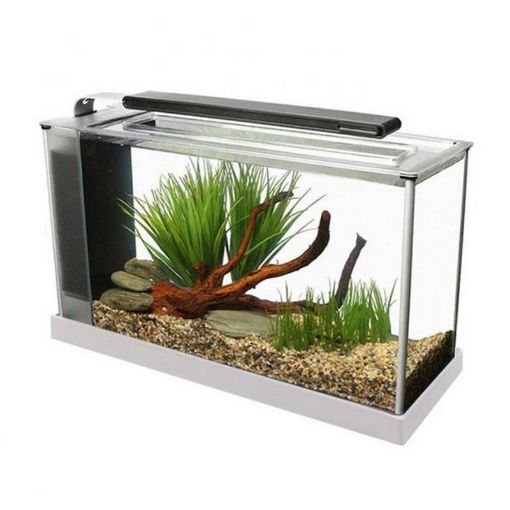 Immagine di FLUVAL SPEC