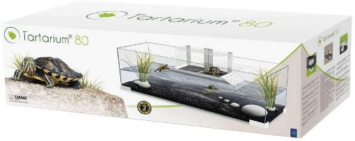 Immagine di TARTARIUM 80 COOL