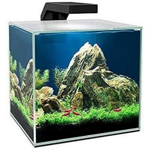 Immagine di ASKOLL CUBE 10