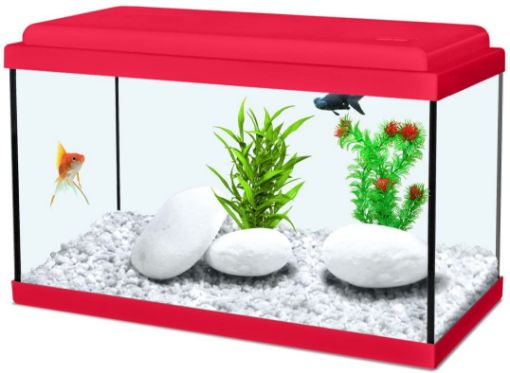 Immagine di NANOLIFE  KIDZ  40   ROSSO