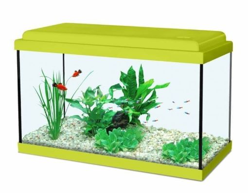 Immagine di NANOLIFE  KIDZ  40   VERDE