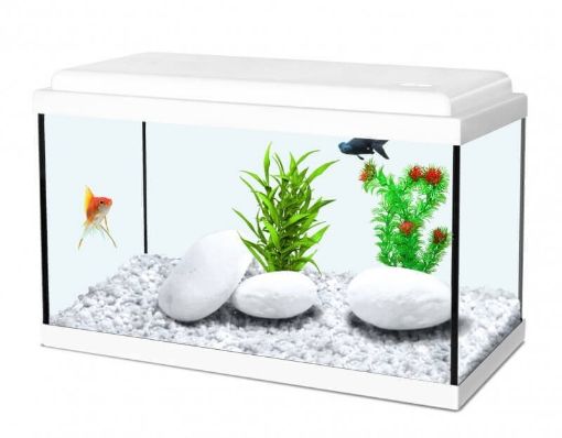 Immagine di NANOLIFE  KIDZ  40   BIANCO