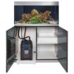 Immagine di BioMaster Thermo 600