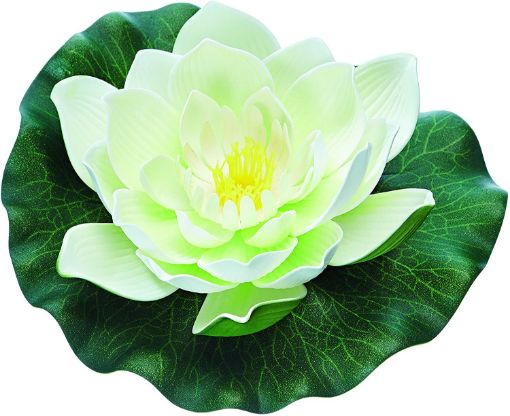 Immagine di Pontec PondoLily bianco