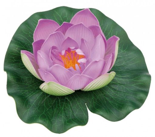 Immagine di Pontec PondoLily viola