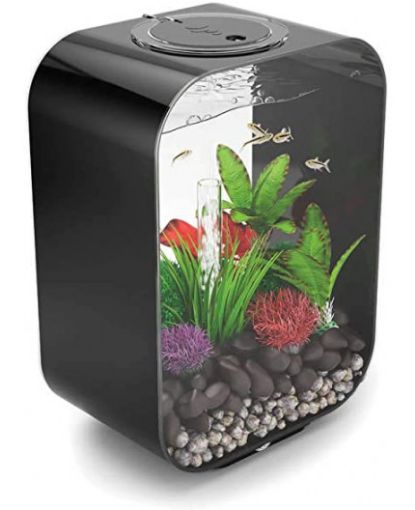 Immagine di biOrb LIFE 15 MCR nero