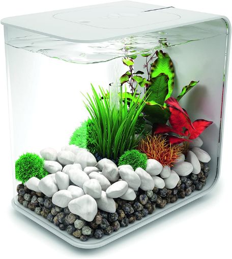 Immagine di biOrb FLOW 15 LED bianco