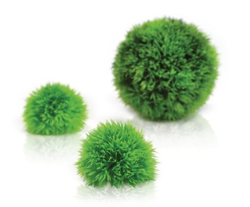 Immagine di biOrb kit 3 piante sferiche verde