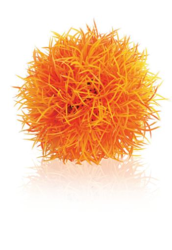 Immagine di biOrb pianta sferica arancio