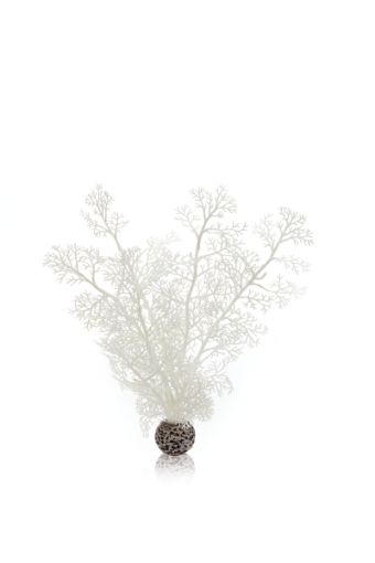 Immagine di biOrb corallo M bianco