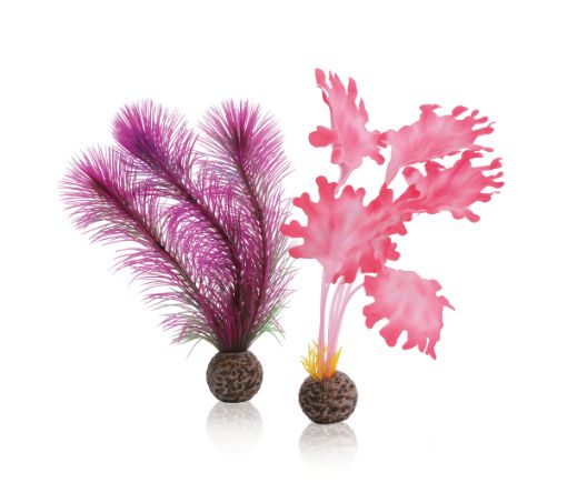 Immagine di biOrb kit fieno marino S rosa