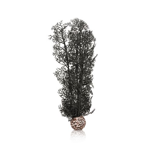 Immagine di biOrb corallo M nero