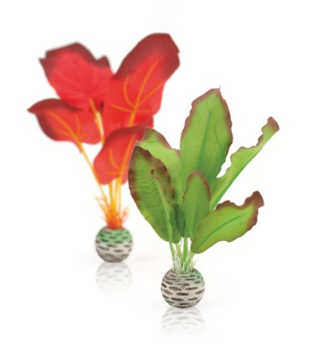 Immagine di biOrb kit piante seta S verde e rosso