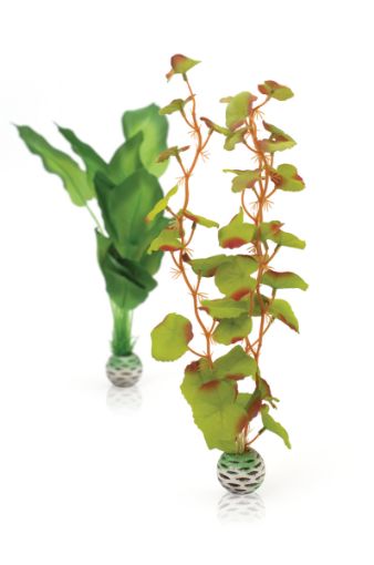 Immagine di biOrb kit piante seta M verde