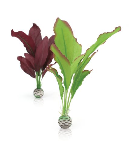 Immagine di biOrb kit piante seta M verde e porpora