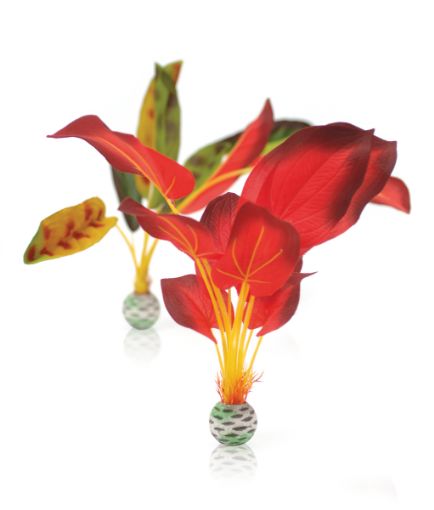Immagine di biOrb kit piante seta L verde e rosso