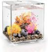 Immagine di biOrb CUBE 30 LED trasparente