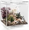 Immagine di biOrb CUBE 30 LED trasparente