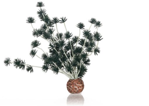 Immagine di biOrb sfera bonsai nera