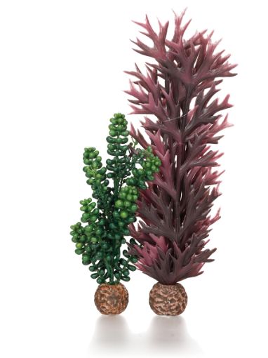 Immagine di biOrb perle & alga verde oliva