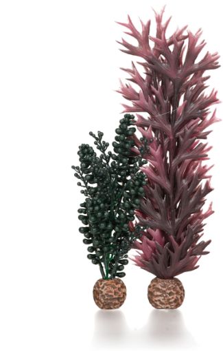 Immagine di biOrb perle & alga verde scuro