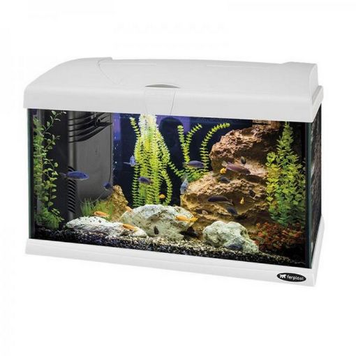 Immagine di CAPRI 50 LED BIANCO