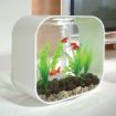 Immagine di biOrb LIFE 30 MCR bianco