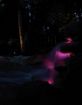 Immagine di Pontec PondoStar LED RGBW Set 3