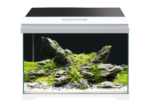 Immagine di AMTRA MODERN TANK 40 LED
