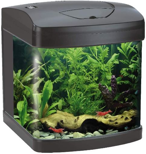 Immagine di AMTRA XCUBE 26 LED BLACK