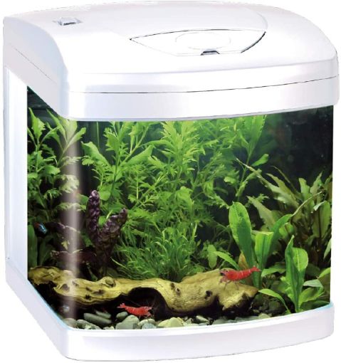 Immagine di AMTRA XCUBE 26L LED WHITE