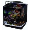 Immagine di ACQUARIO NANUX NERO