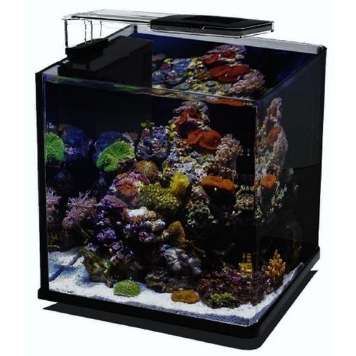 Immagine di ACQUARIO NANUX NERO