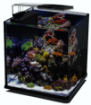 Immagine di ACQUARIO NANUX NERO