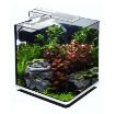 Immagine di ACQUARIO NANUX BIANCO