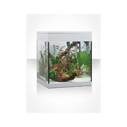 Immagine di PURE M WHITE LED