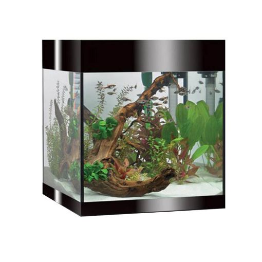 Immagine di PURE M BLACK LED