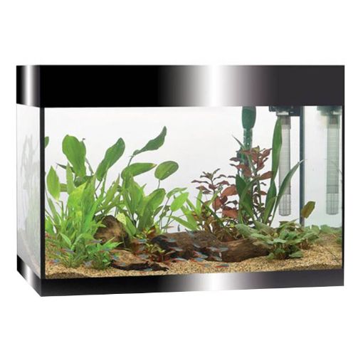 Immagine di PURE L BLACK LED