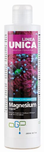 Immagine di MAGNESIUM 1LT