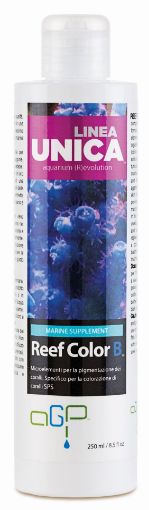 Immagine di REEF COLOR B 1LT