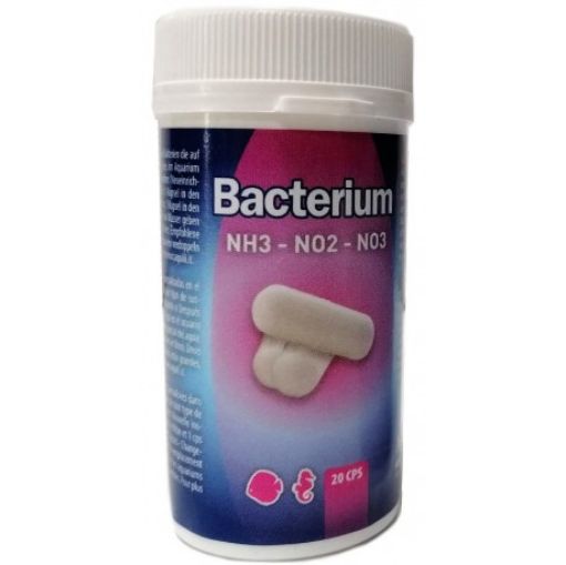 Immagine di Bacterium E 12 capsule