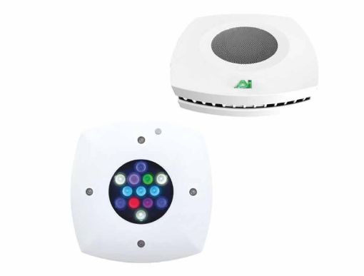Immagine di Prime16 HD WHITE