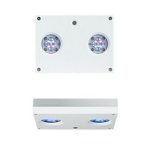Immagine di Hydra32 HD WHITE